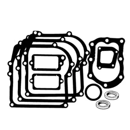 zestaw-uszczelek-briggsandstratton-450-500-classic