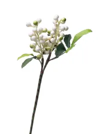 galazka-glogu-z-kremowymi-owocami-26cm