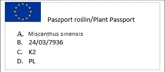 miskant-chinski-zebrinus-0-5l-hit-wiosny-nazwa-lacinska-miscanthus-sinensis