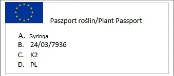 lilak-pospolity-palibin-0-5l