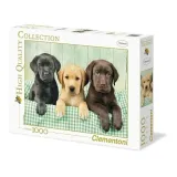 clementoni-1000-el-hq-three-labs