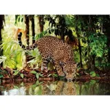 clementoni-2000-el-leopard