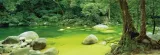 schmidt-puzzle-1000-elementow-mark-gray-mossman-gorge-stan-nowy