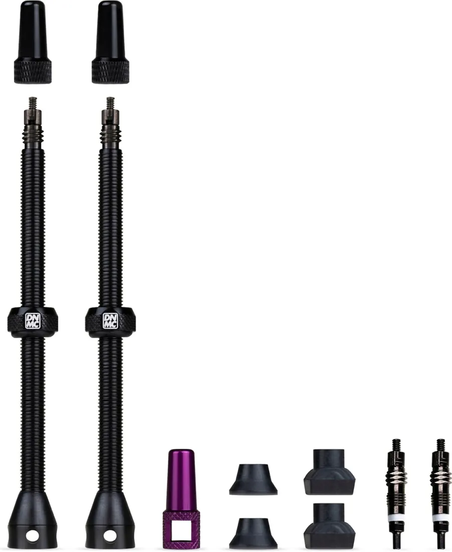 dynamic-wentyle-barkeeper-tubeless-valves-100mm