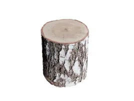 pieniek-siedzisko-klocek-krzeslo-brzoza