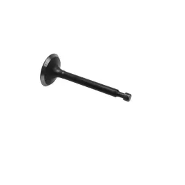 zawor-ssacy-honda-gx160-gx200-zongshen-168fb