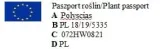 polyscias-fabian-bonsai-p12-drzewo-rodzaj-rosliny-inny-kod-produktu-1729