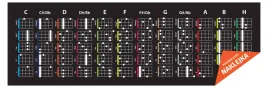 naklejka-akordy-na-ukulele-nut1