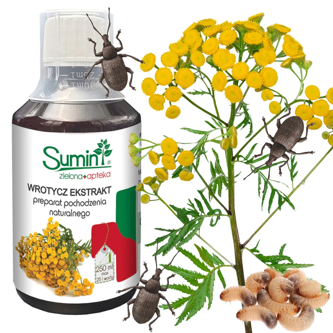 sum25-sumin-wrotycz-ekstrat-250ml