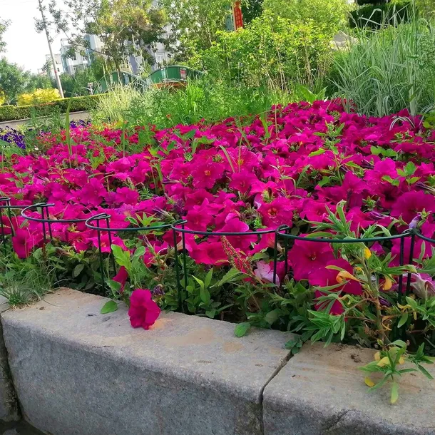 tg77641-podpora-do-roslin-2szt-kpl-kod-producenta-tg77641