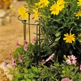 tg77641-podpora-do-roslin-2szt-kpl-marka-martom