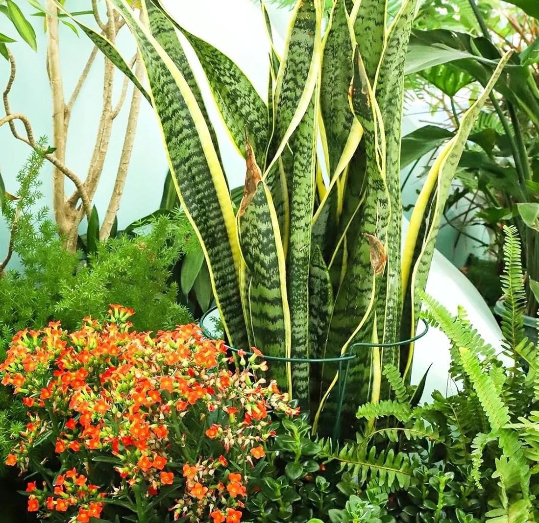 tg77641-podpora-do-roslin-2szt-kpl