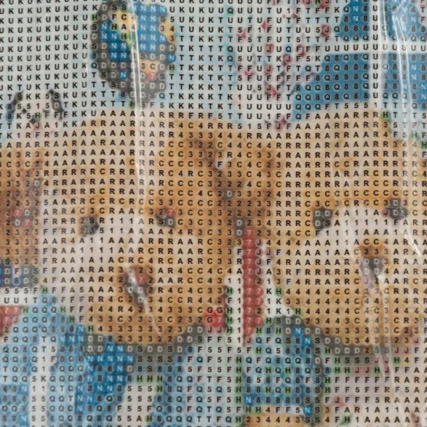 tg64203-4-haft-misie-szerokosc-produktu-30-cm