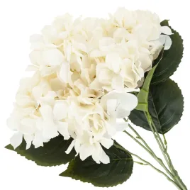 cv28571-2-hortensja-gesty-bukiet-5-kwiatow-hortensji-50cm-do-wazonu-stroika