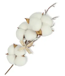 bawelna-3-glowki-na-galazce-32cm