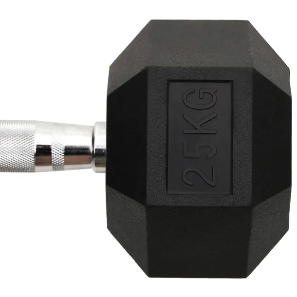 hantel-25-kg-zeliwo-waga-1x-25-kg