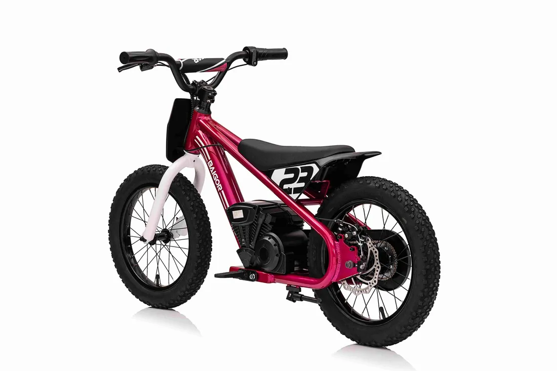 motor-baigor-23-pro-rozowy