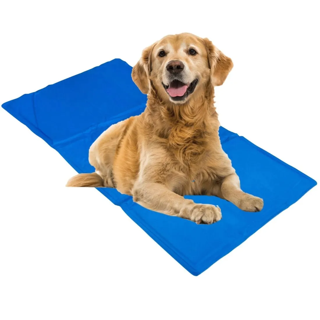 tg64478-mata-chlodzaca-dla-psa