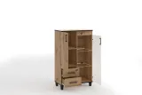 mebloscianka-pro-kolor-mebla-dab-artisan