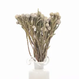 suszona-brunia-naturalna-suszki-suszone-kwiaty