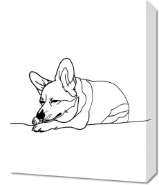 obraz-40x50cm-spiacy-corgacz