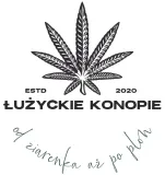olej-cbd-20percent-2000mg-stan-nowy