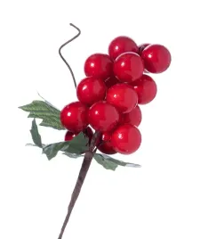 galazka-z-czerwonymi-owocami-25cm