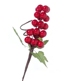 galazka-z-czerwonymi-owocami-23cm