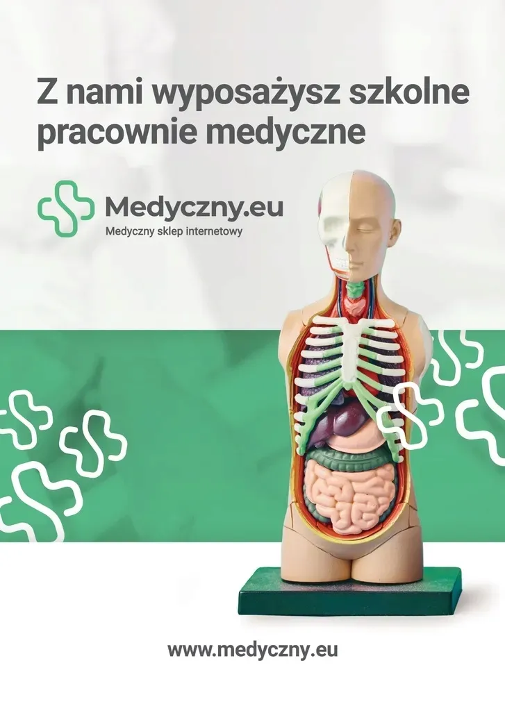 model-serca-3d-1946-medyczny-eu