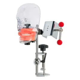 symulator-stomatologiczny-przezroczysty-model-jamy-ustnej-1814