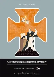 sprezyna-gazowa-pokrywy-silnika-audi-a6-04-04-08-11-stabilus