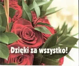 zestaw-naprawczy-belki-mercedes-tyl-w124-201-202-przod-0140350073-hd-meyle