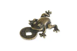 amulet-zaba-z-moneta-symbol-fortuny