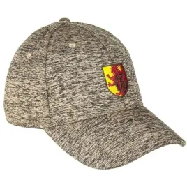 czapka-z-daszkiem-harry-potter-gryffindor-szara-cerda
