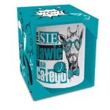 skarbonka-walec-jak-sie-bawic-bgtech