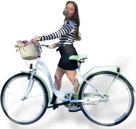 lekki-rower-miejski-28-damski-damka-kosz-wiklinowy-wysciolka
