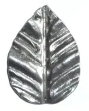lisc-duzy-301-03