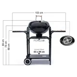 grill-weglowy-mirpol-43-x-43-cm-wysokosc-grilla-1-cm