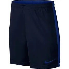 krotkie-spodenki-chlopiece-na-wf-nike-dry-academy-832901-459