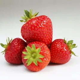 truskawka-honeoye-najlepsza-na-wczesne-zbiory-sadzonka-w-doniczce-p10