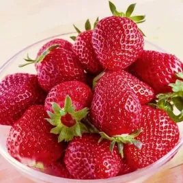 truskawka-bardzo-slodka-sadzonka-p10-odmiana-deserowa-do-ogrodu-taras