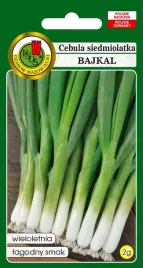 cebula-siedmiolatka-bajkal-nasiona-2-g-pnos