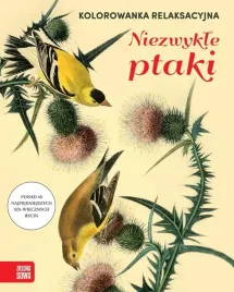 kolorowanka-relaksacyjna-niezwykle-ptaki