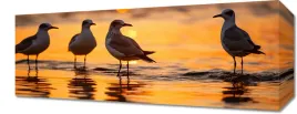 obraz-50x20cm-mewia-gaweda