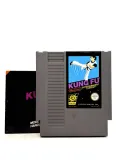 kung-fu-nes-pal-tryb-gry-singleplayer