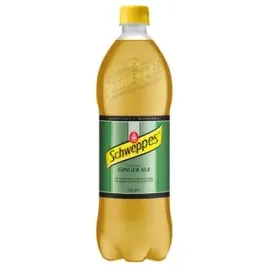 schweppes-ginger-ale-09l