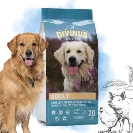 divinus-adult-karma-sucha-dla-psa-owczarek-labrador-golden-witaminy-20kg