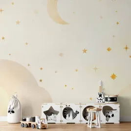 fototapeta-400x280-wodoodporna-rozgwiezdzona-noc