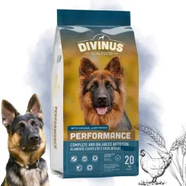 divinus-performance-karma-sucha-dla-psa-owczarek-labrador-witaminy-20kg
