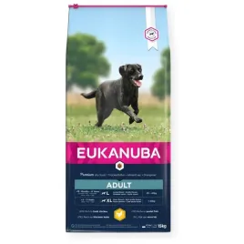 eukanuba-adult-large-breed-kurczak-sucha-karma-psy-dorosle-worek-15kg
